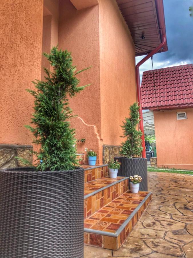 Hotel Casa Andra Baia de Fier Exteriér fotografie